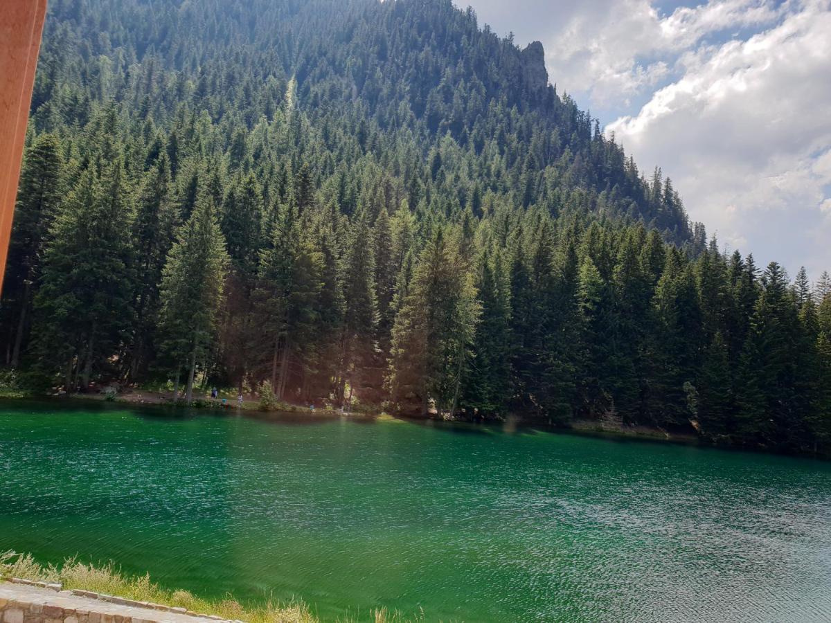 Bed and Breakfast Grand Chalet Du Boreon Сен-Мартен-Везюби Экстерьер фото